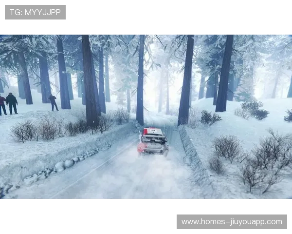 汽车拉力赛：荒野中的速度争霸，汽车拉力赛集锦